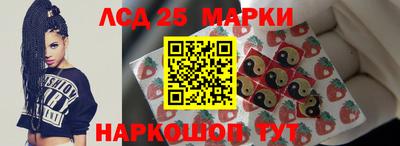спиды Камышлов