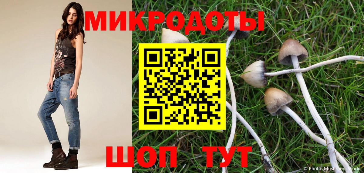 Псилоцибиновые грибы MAGIC MUSHROOMS Кстово