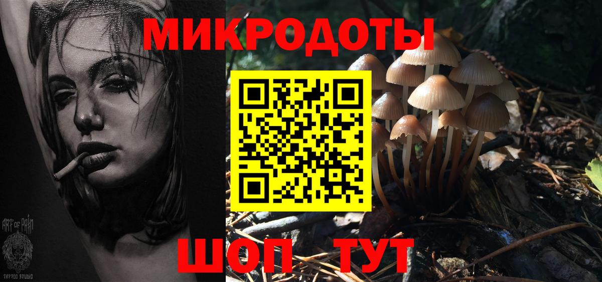 Кстово  Псилоцибиновые грибы MAGIC MUSHROOMS  Вход с VPN  Галлюциногенные грибы Cubensis 